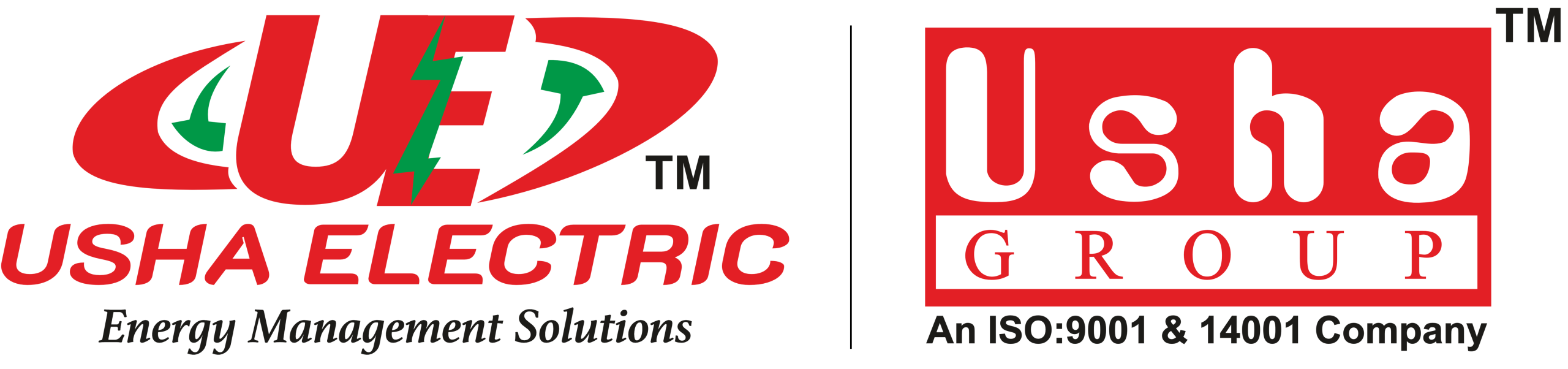 USHA ELECTRIC POWER PVT. LTD.